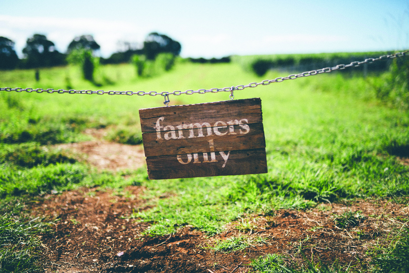 The Farm sub-lets land to other local farmers, providing greater diversity of produce.