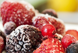 Fruit is one such product that can be frozen safely with Friginox catering equipment.