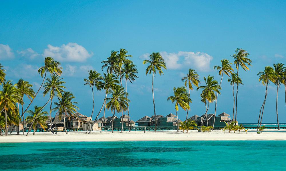 cinder in maldives